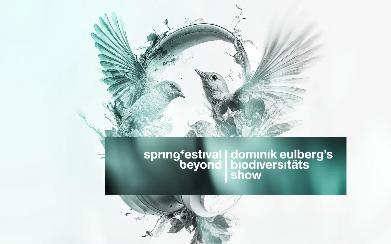 Zwei Vögel fliegen über einem Springfestival Kopfhörer. Davor ein Textfeld mit dem Inhalt: springfestival beyond | dominik eulberg's biodiversitäts show